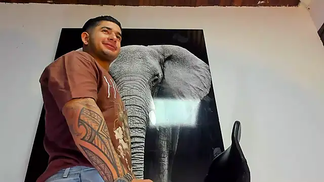 king falconer online show from 29, 10, 2025