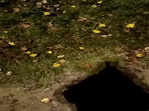 Snapshot of jvdzj-0_ chatting on 29, 10, 2025 jvdzj-0  online show from 29, 10, 2025