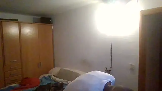 Zk1980 online show from 31, 10, 2025