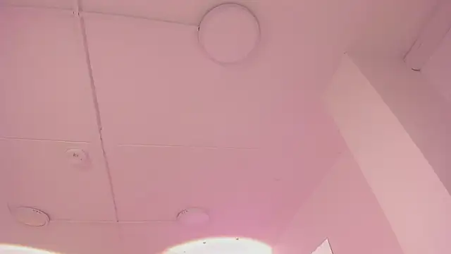 Snapshot of TokyoHaskel chatting on 13, 11, 2025 TokyoHaskel online show from 13, 11, 2025