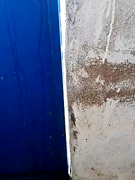 Yaman 33 online show from 29, 3, 2026