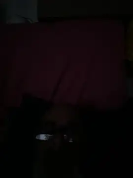 crisfootlicker online show from 28, 7, 2026