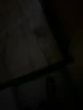 hyderabadii boi online show from 15, 11, 2025