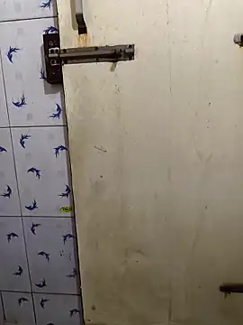 Telugu abbai 69 online show from 22, 2, 2026