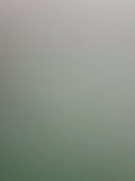 guridosul051 online show from 13, 4, 2026