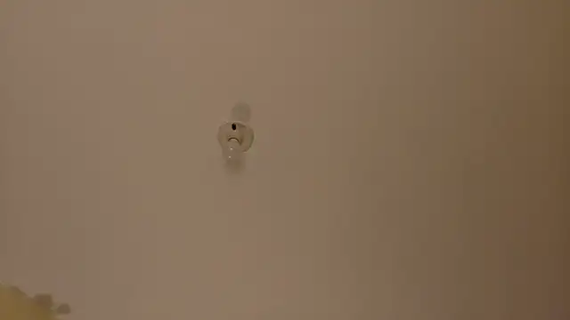 Amanda sweet online show from 17, 10, 2025