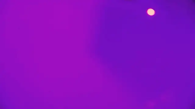 HeidiKendal online show from 26, 2, 2026