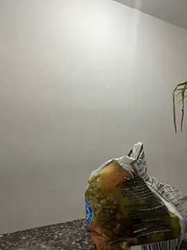 megan bigboobs  online show from 14, 9, 2025