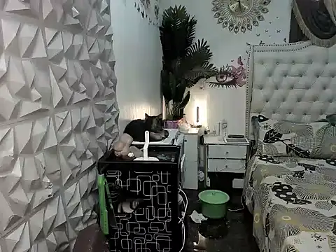 janecomander online show from 2, 3, 2026