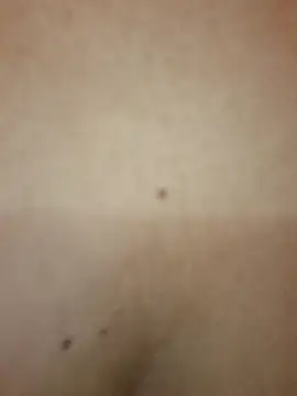 Luna 20x online show from 8, 10, 2025