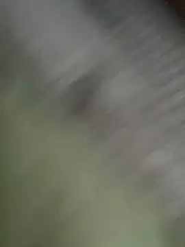 JezOne555 online show from 7, 2, 2026