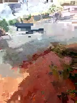 jeff pepoer online show from 7, 1, 2026