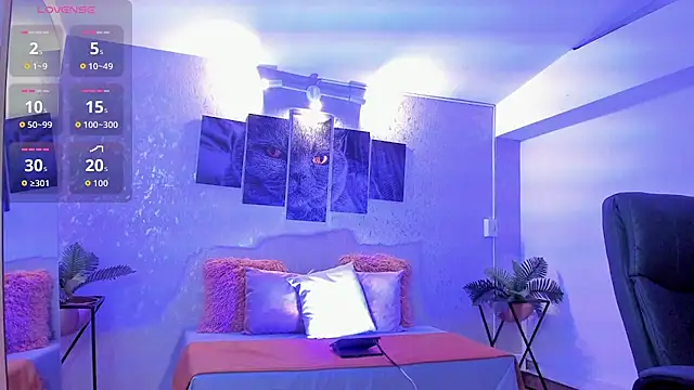 nils saint online show from 17, 12, 2025