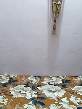 sneha bebo online show from 28, 2, 2026