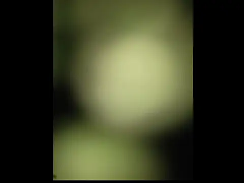 sobit1234 online show from 18, 10, 2025