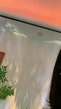 zhizhinaigai online show from 18, 2, 2026