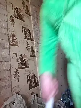 Bols777 online show from 28, 11, 2025