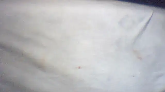 pietje1991 online show from 25, 2, 2026