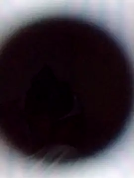 Cumnowd1 online show from 19, 10, 2025