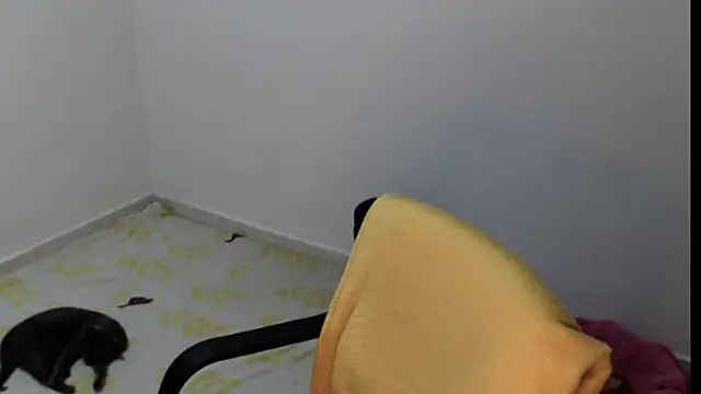 Snapshot of meganmiauu chatting on 11, 5, 2026 meganmiauu online show from 11, 5, 2026