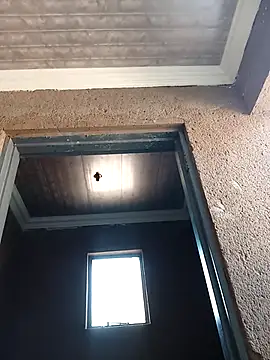 bhutimjongeni online show from 9, 9, 2025