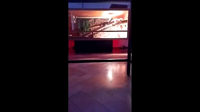 Snapshot of M6I6K6E@xh chatting on 4, 12, 2025 M6I6K6Exh online show from 4, 12, 2025