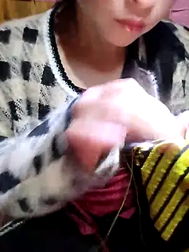 Tiyir597 online show from 1, 11, 2025