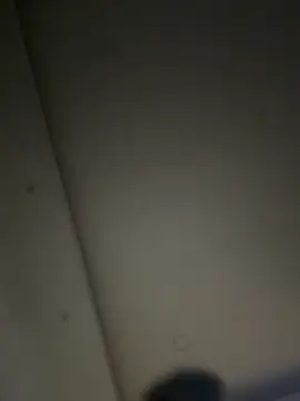 ALANNFERRER online show from 22, 11, 2025