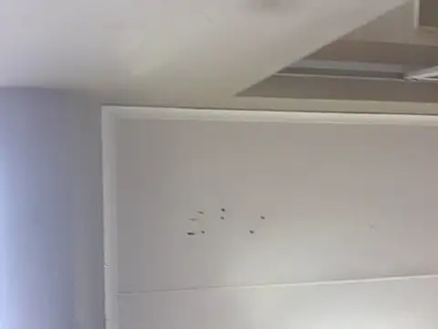 Snapshot of sex-machanic chatting on 28, 11, 2025 sex-machanic online show from 28, 11, 2025