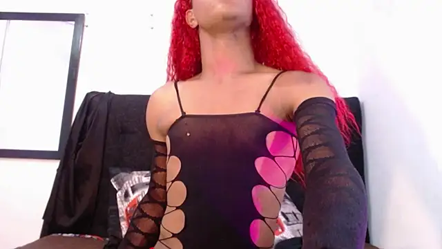 bloom bbc online show from 11, 11, 2025