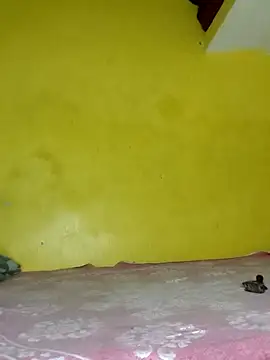 Dazzling khushii online show from 11, 9, 2025