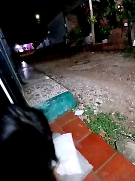 jeltsin3-25 online show from 24, 2, 2026