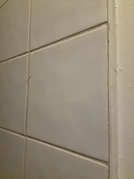 Snapshot of raen001 chatting on 6, 11, 2025 raen001 online show from 6, 11, 2025