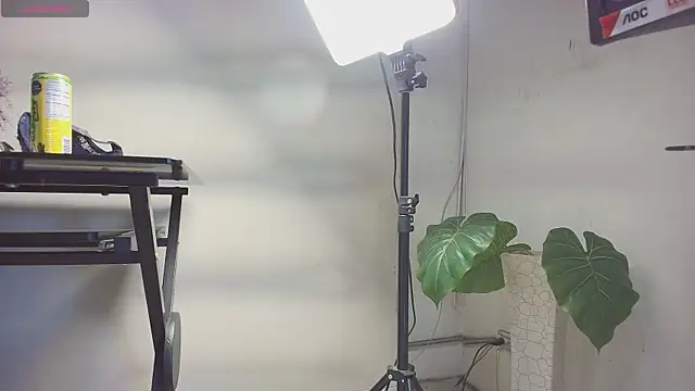 sakuramoss online show from 24, 10, 2025