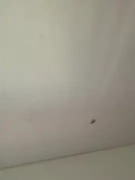 lana rousse01 online show from 9, 9, 2025