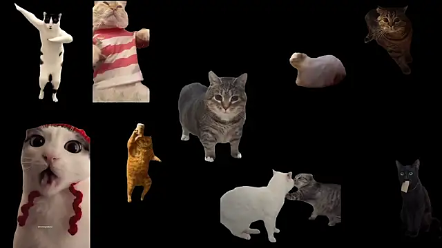 Snapshot of ch0wn_m chatting on 20, 9, 2025 ch0wn m online show from 20, 9, 2025