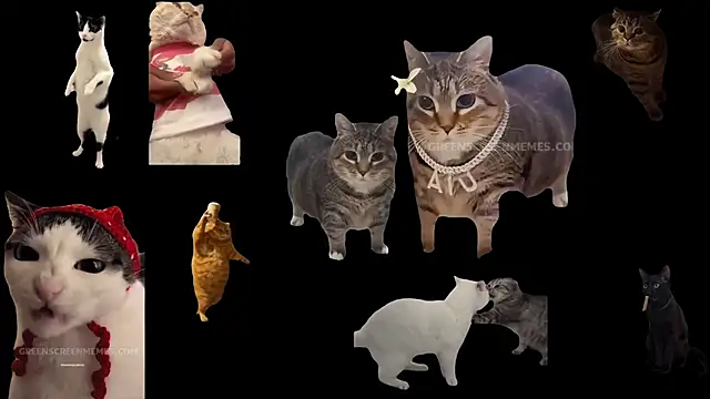 Snapshot of ch0wn_m chatting on 24, 10, 2025 ch0wn m online show from 24, 10, 2025