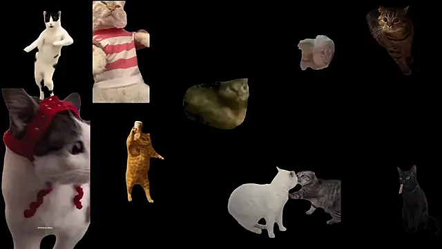 Snapshot of ch0wn_m chatting on 18, 11, 2025 ch0wn m online show from 18, 11, 2025