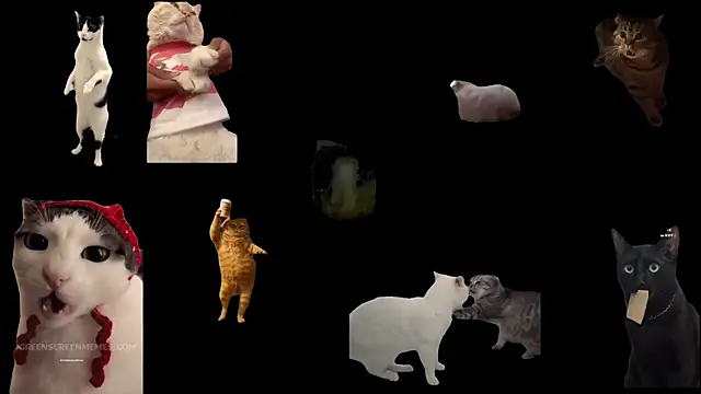 Snapshot of ch0wn_m chatting on 19, 11, 2025 ch0wn m online show from 19, 11, 2025