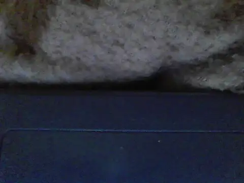 ursdreamperson online show from 21, 12, 2025