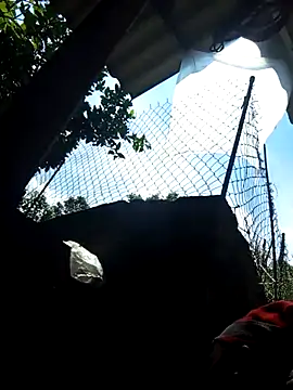 Snapshot of Bibilenu chatting on 5, 10, 2025 Bibilenu online show from 5, 10, 2025