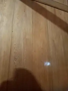 Snapshot of Bibilenu chatting on 31, 10, 2025 Bibilenu online show from 31, 10, 2025