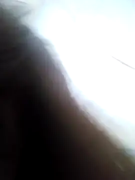 tdtd98 online show from 15, 4, 2026