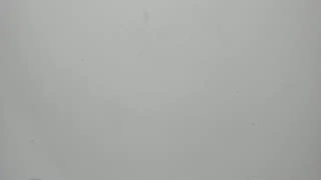 Snapshot of invincible200 chatting on 15, 9, 2025 invincible200 online show from 15, 9, 2025