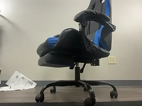 bearcub300 online show from 26, 11, 2025