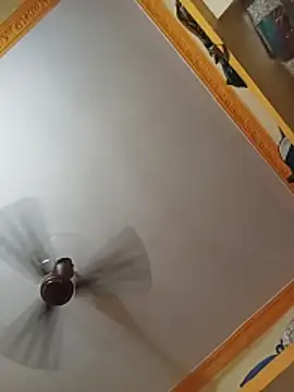 NISHU-TELUGU online show from 28, 3, 2026