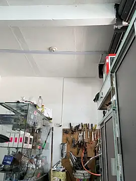 Terra-22cm online show from 7, 4, 2026