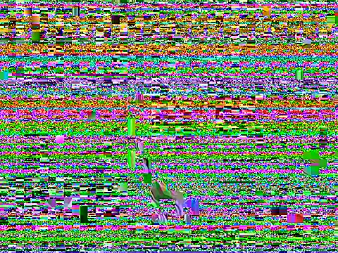 Dilfcam101 online show from 25, 3, 2026