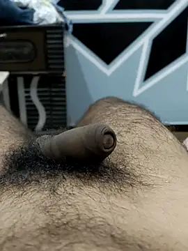 Bull54321 online show from 10, 9, 2025