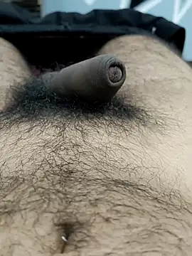 Bull54321 online show from 19, 9, 2025